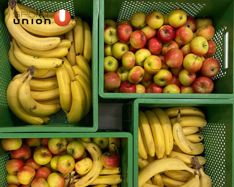 Obst_TSF-Salzburg Obst_TSF-Salzburg