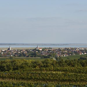 Pannonia_raum