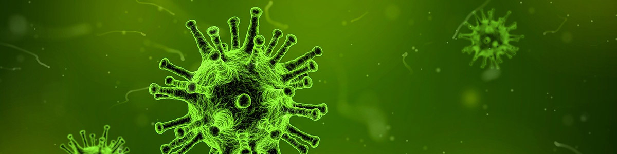 Virus