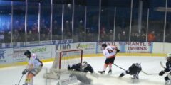 Eishockey_Ein Eishockeytraum wurde Wirklichkeit! Die UEHV CAM4DENT SHARKS GMUNDEN sind Meister in der ÖEL! - (c) Peter SOMMER FOTOPRESS