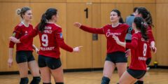 Faustball_Bundesliga der Frauen - Freistadt fix im Final3-Endspiel - (C) Wolfgang Benedik -Faustball Austria