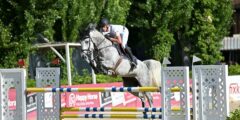 Thomas Himmelmayer mit Pferd Papillon d’Azur