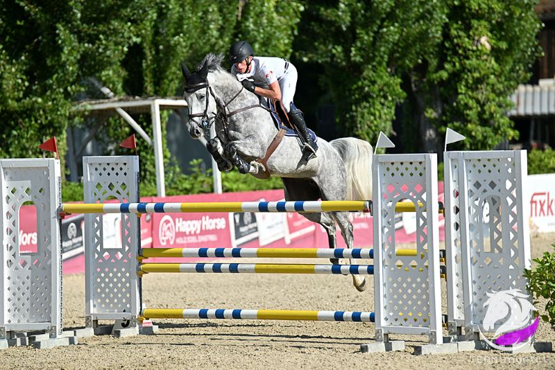 Thomas Himmelmayer mit Pferd Papillon d’Azur