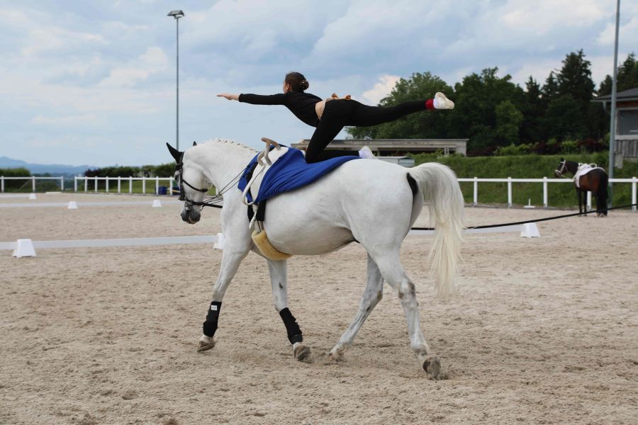 Pferd und Reiterin beim Voltigieren am Platz