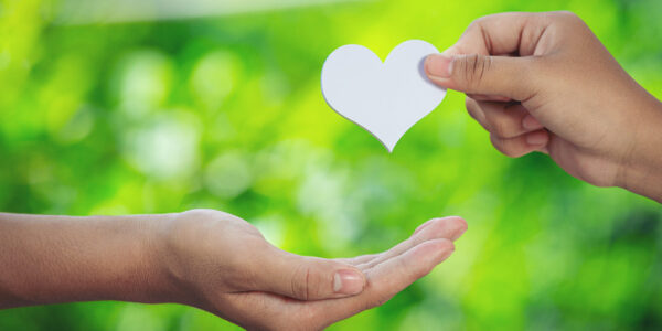 Couple holding hands in green meadow.