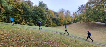 zu sehen: vier Läufer hintereinander, Herbstlandschaft