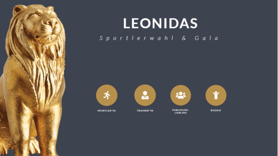 Monitor Eingang SZM (70)