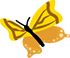 Schmetterling gelb