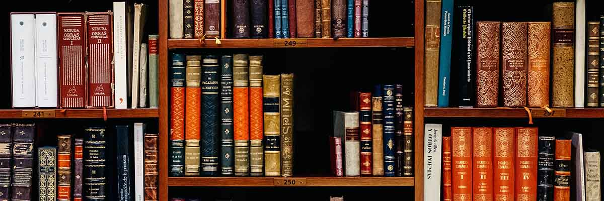 Bücherregal mit Rechtsliteratur