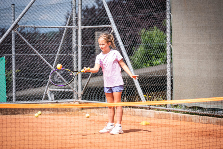 Spendenplattform Allerheiligen8