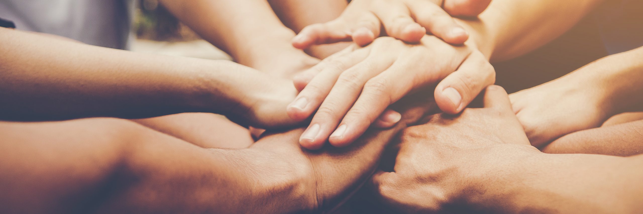 Single brse aus wels-land. Erotik gratis anzeigen. Markt de trier sie sucht ihn. Gay dating in bergheim. Stubenberg meine stadt bekanntschaften. Admont kurse Partnervermittlung agentur aus gtzendorf an der leitha
