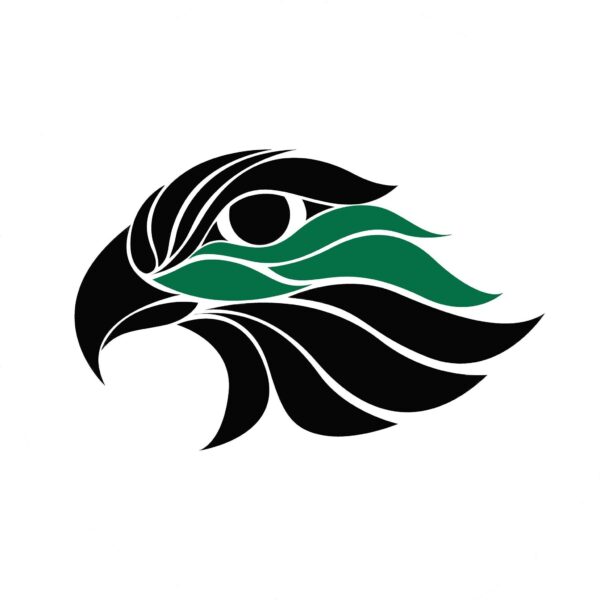 Fortress Falcons Logo