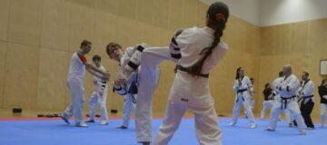 Taekwondo-Lehrgang_News