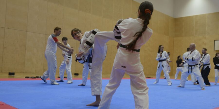 Taekwondo-Lehrgang_News