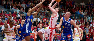 Traiskirchen Lions_News