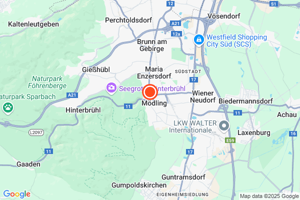 Bild der Adressposition auf der Karte