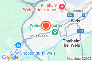 Bild der Adressposition auf der Karte