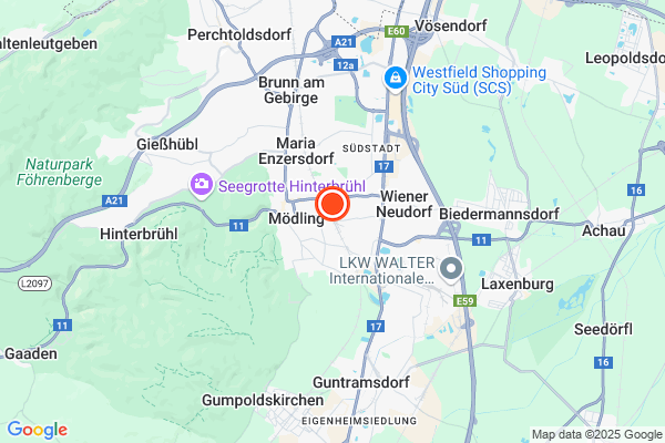 Bild der Adressposition auf der Karte