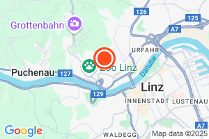 Bild der Adressposition auf der Karte